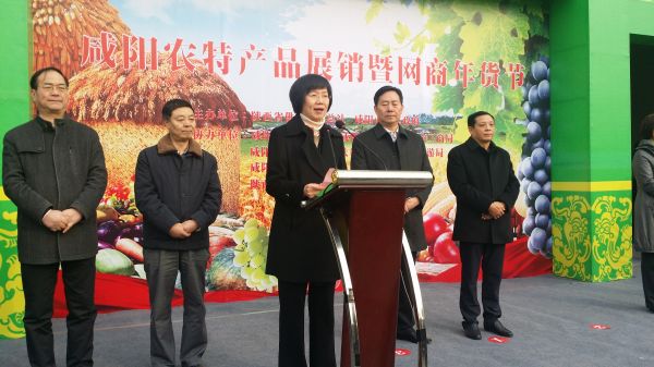 咸阳农特产品展销暨网商年货节举办